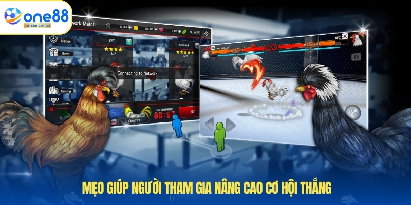 Đá Gà C1 - Bí Quyết Giúp Anh Em Tăng Cơ Hội Thắng Vượt Trội 4 Mẹo giúp người tham gia nâng cao cơ hội thắng