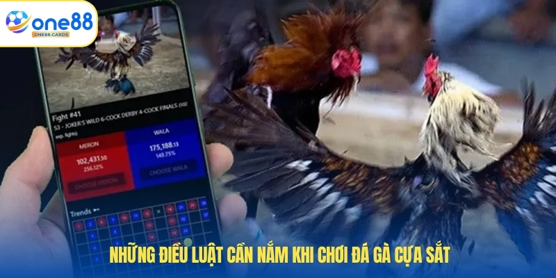 Những điều luật cần nắm khi chơi đá gà cựa sắt