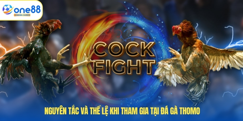 Nguyên tắc và thể lệ khi tham gia tại đá gà Thomo