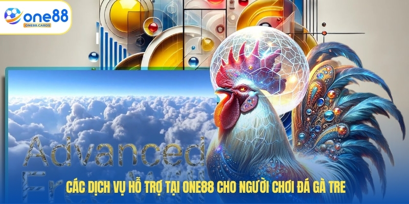 Các dịch vụ hỗ trợ tại ONE88 cho người chơi đá gà tre